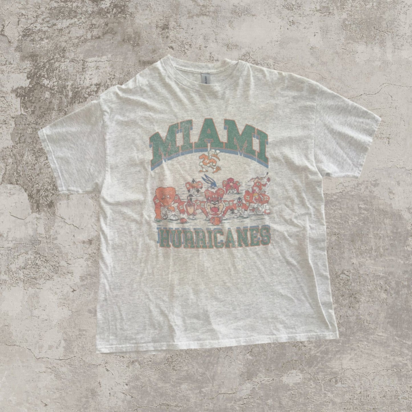 Miami Hurricanes Looney Tunez