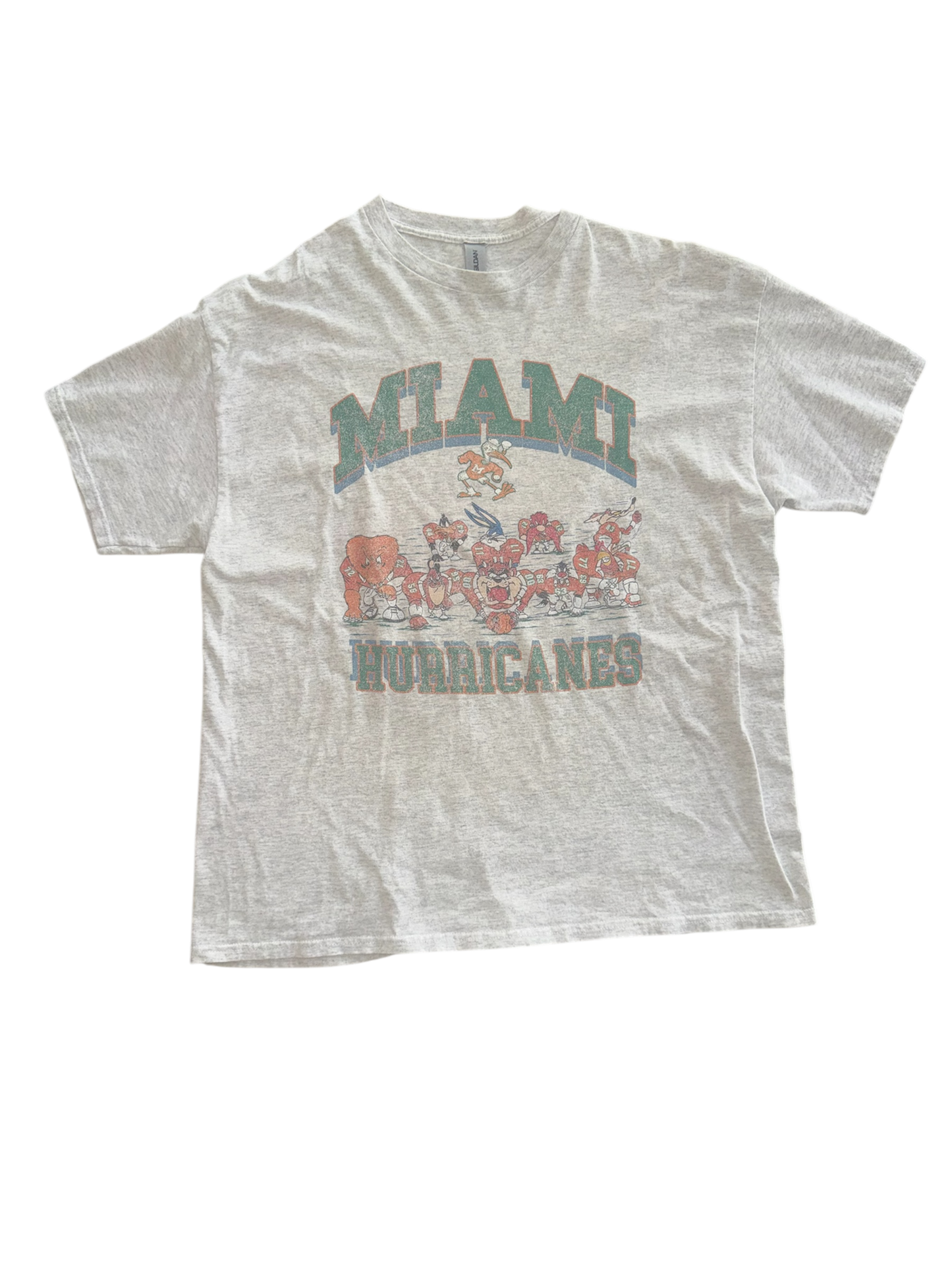 Miami Hurricanes Looney Tunez
